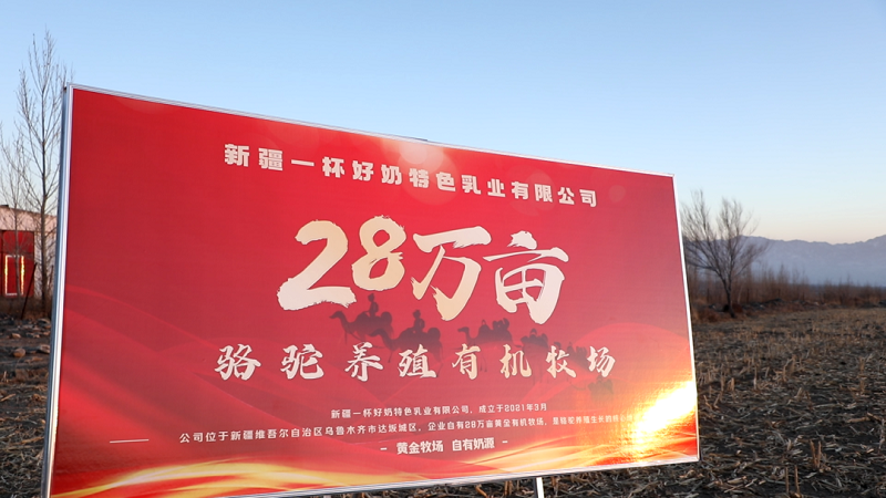 2022年找特色乳OEM贴牌代工，当选新疆一杯好奶特色乳业！